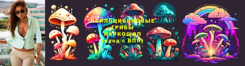 shop Telegram  Цоци-Юрт  Галлюциногенные грибы MAGIC MUSHROOMS 